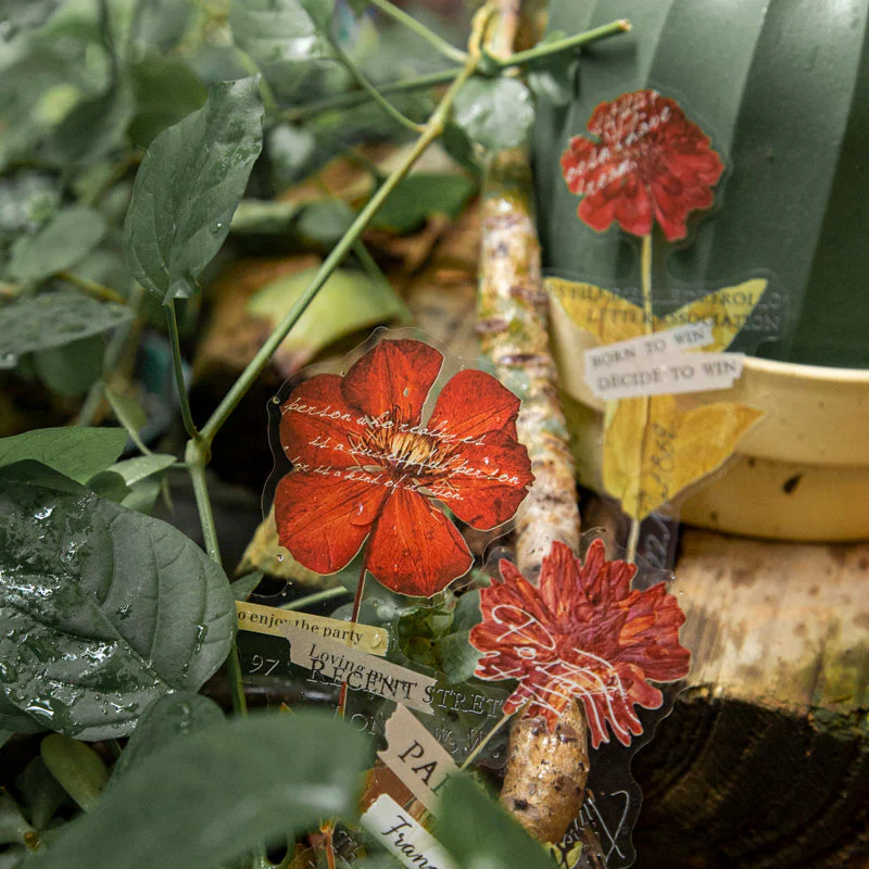 Dry flower stickers - Image 6