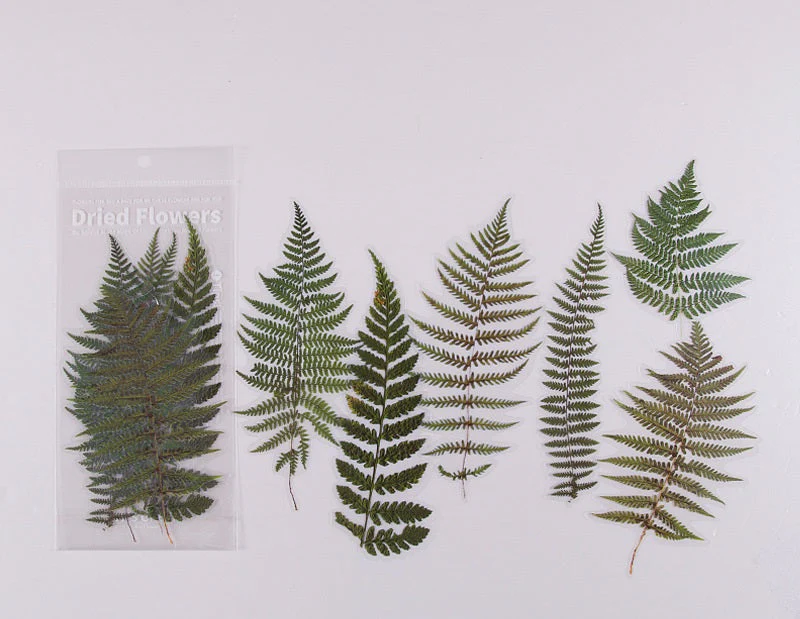 Flowers and Plants Stickers - Image 22