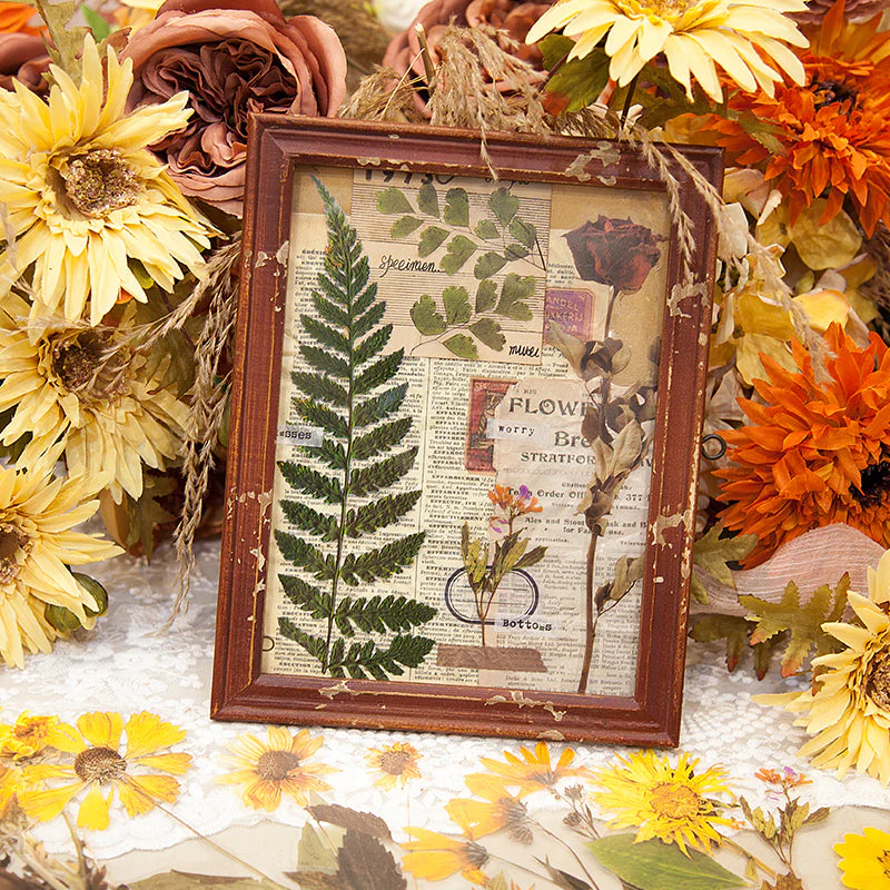 Flowers and Plants Stickers - Image 7